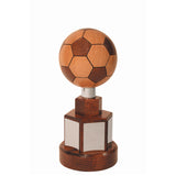 Championship Soccer Trophy